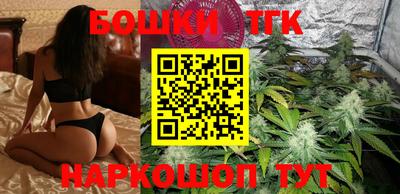 mdpv Гатчина