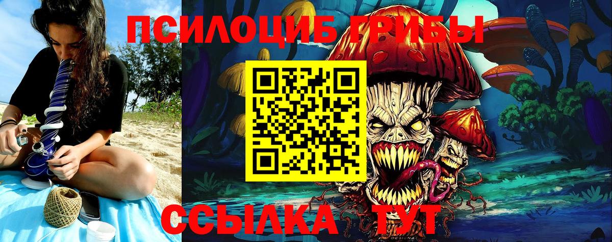 Выкса  Галлюциногенные грибы Psilocybe  Вход с VPN 